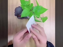 semi-transparent elastische filmvulling